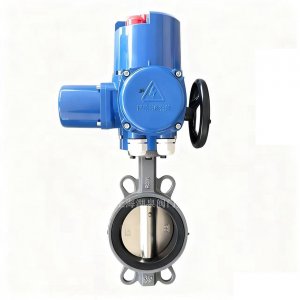 電動襯膠碟閥D971J/S-10/16 DN50（腐蝕性介質